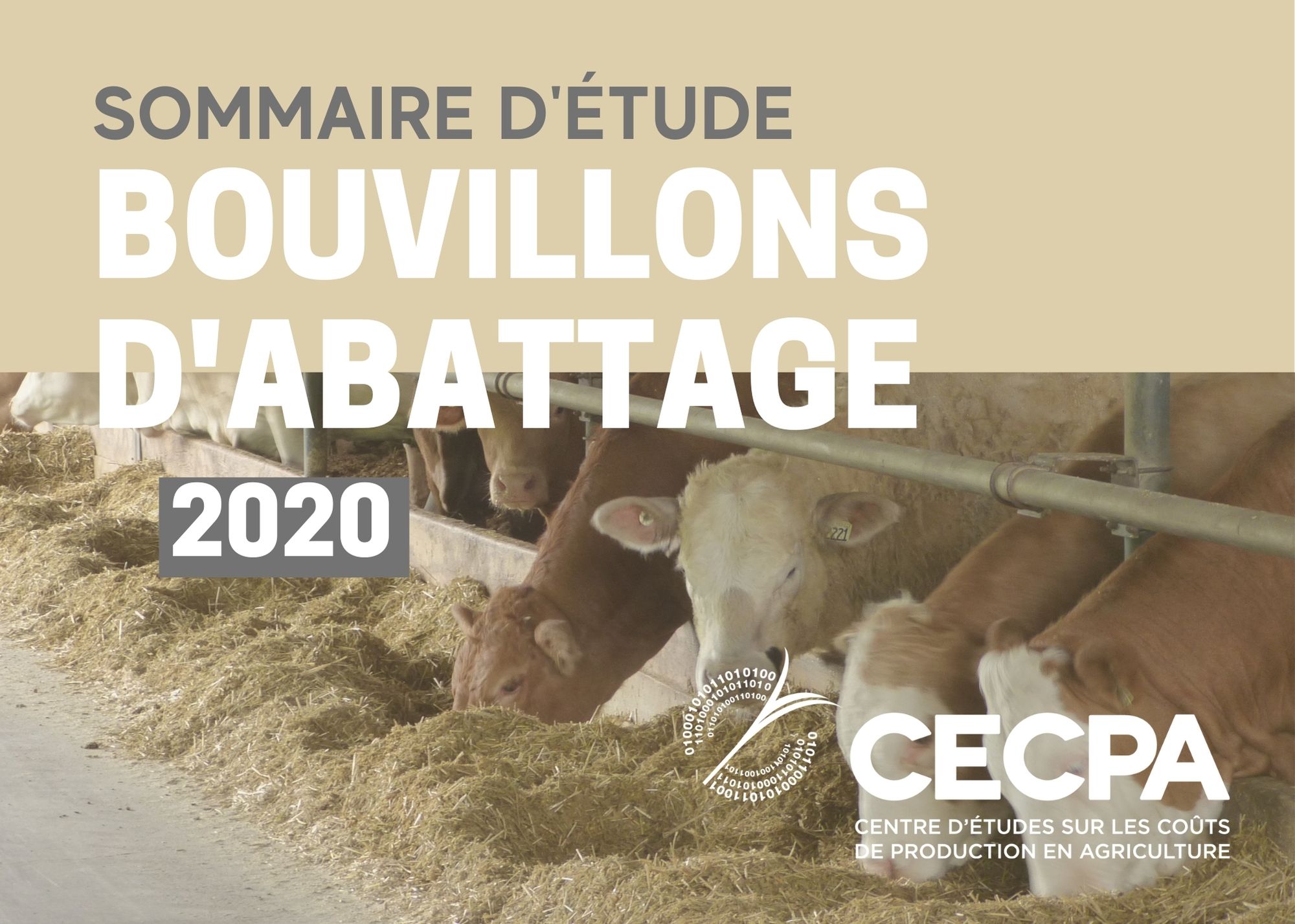 Études de coûts de production : Sommaire - Coût de production Bouvillons d'abattage 2020